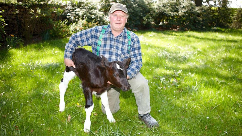 Bio-Milch aus der Hofmolkerei Dehlwes