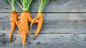 Eine Chance für schräges Gemüse: Nichts wird weggeworfen, alles wird verarbeitet.