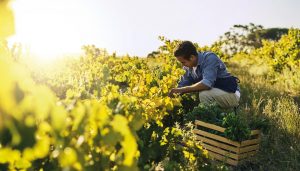 Ob Mehrwegbecher to go, weniger Plastik in den Hotelzimmern oder der Wasserfußabdruck – die Möglichkeiten sind vielfältig und bringen Vorteile für Ihre Gäste, Ihr Geschäft und die Umwelt.