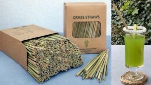 Trinkhalm aus Wildgras für das Gastgewerbe